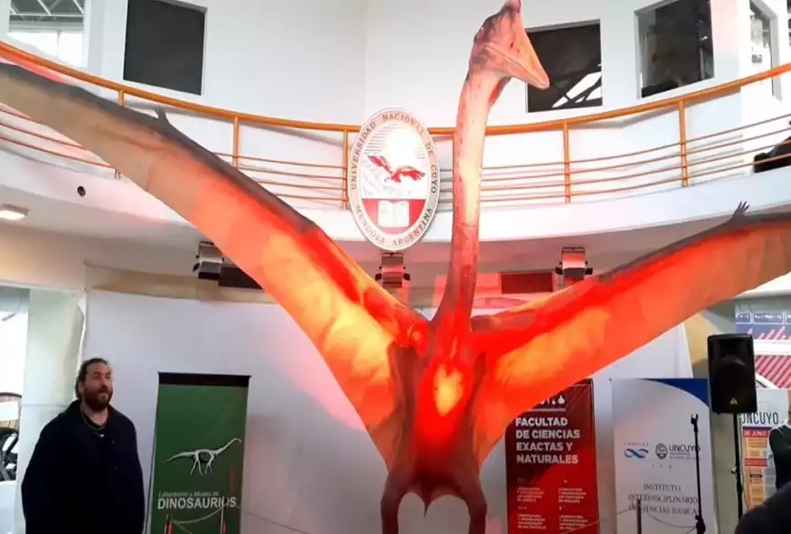 Youtube/Screenshot/Universidad Nacional de Cuyo